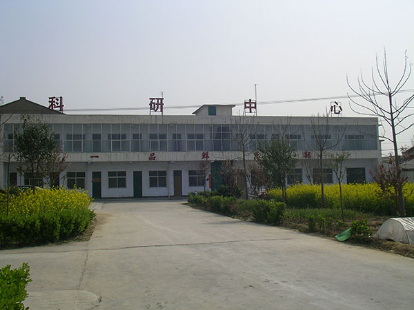 关于我们(图1)